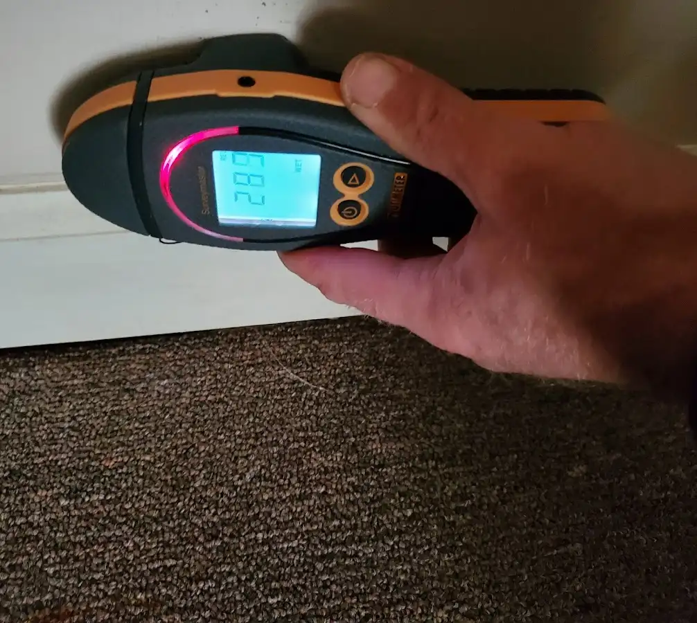 Moisture detection at baseboard during Mold Inspection & Testing in Seffner