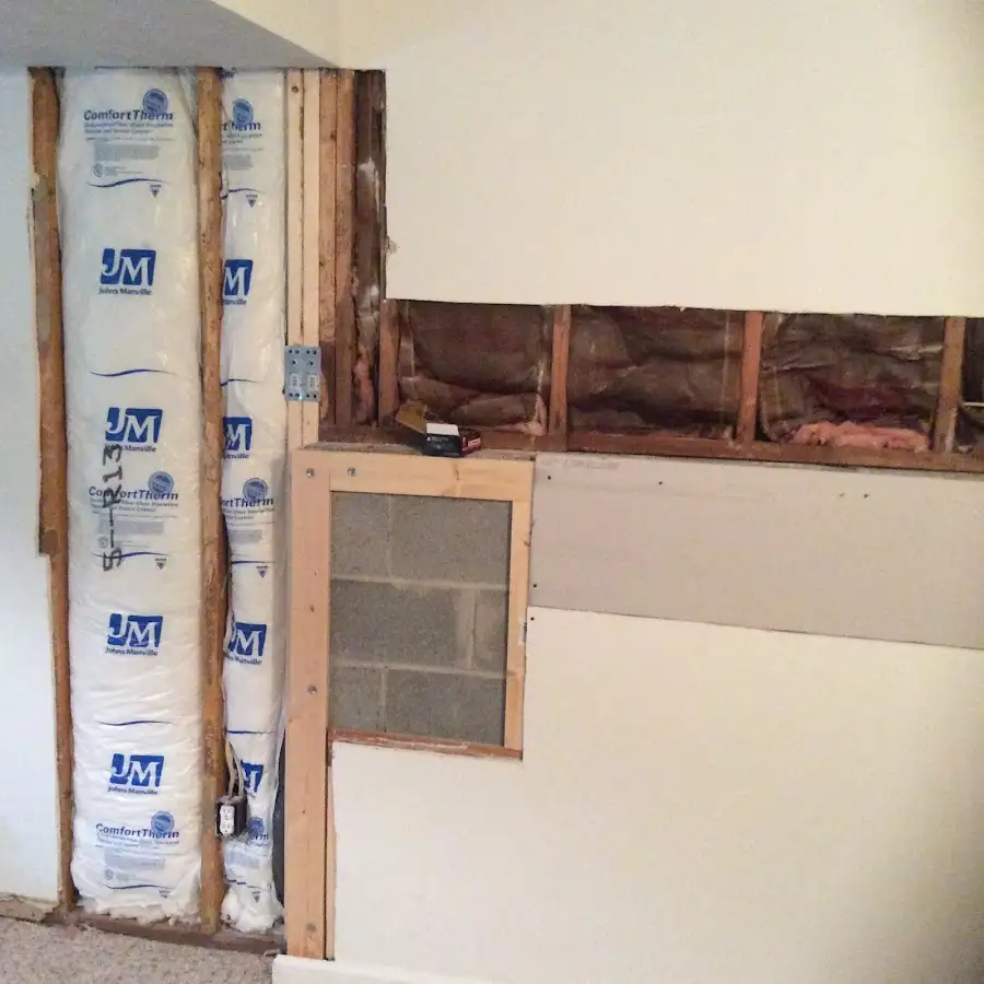 Wall insulation replacement during Odor Removal & Deodorization in Seffner
